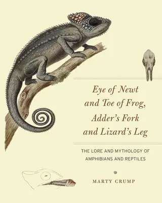L'œil du triton et l'orteil de la grenouille, la fourche de la vipère et la patte du lézard : l'histoire et la mythologie des amphibiens et des reptiles - Eye of Newt and Toe of Frog, Adder's Fork and Lizard's Leg: The Lore and Mythology of Amphibians and Reptiles