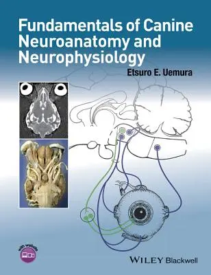Principes fondamentaux de la neuroanatomie et de la neurophysiologie canines - Fundamentals of Canine Neuroanatomy and Neurophysiology