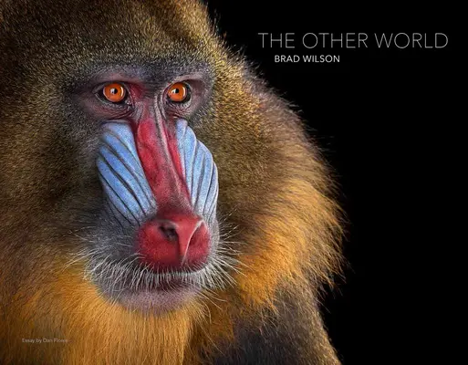 Brad Wilson : L'autre monde : Portraits d'animaux - Brad Wilson: The Other World: Animal Portraits
