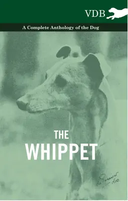 Le Whippet - Une anthologie complète du chien - The Whippet - A Complete Anthology of the Dog