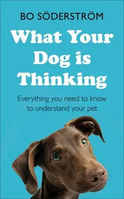 Ce que pense votre chien : Tout ce que vous devez savoir pour comprendre votre animal de compagnie - What Your Dog Is Thinking: Everything You Need to Know to Understand Your Pet