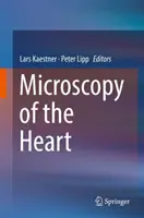 Microscopie du cœur - Microscopy of the Heart