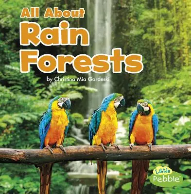 Tout sur les forêts tropicales - All about Rain Forests