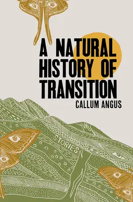 Une histoire naturelle de la transition - A Natural History of Transition