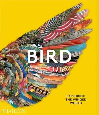 Les oiseaux : Explorer le monde des ailes - Bird: Exploring the Winged World