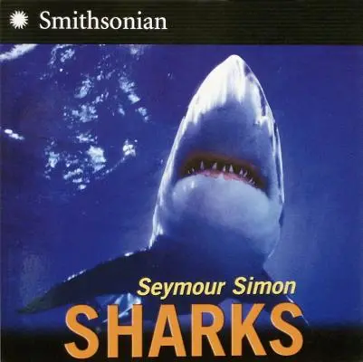 Les requins - Sharks