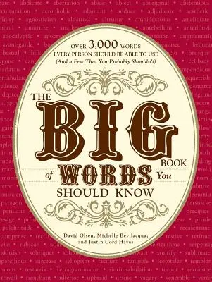 Le grand livre des mots à connaître : Plus de 3 000 mots que tout le monde devrait être capable d'utiliser (et quelques uns que vous ne devriez probablement pas) - The Big Book of Words You Should Know: Over 3,000 Words Every Person Should Be Able to Use (and a Few That You Probably Shouldn't)