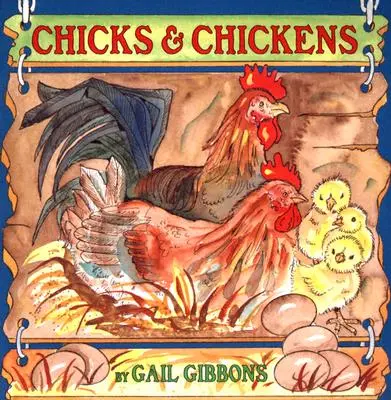 Poussins et poules - Chicks & Chickens