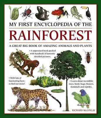 Ma première encyclopédie de la forêt tropicale : Un grand livre d'animaux et de plantes étonnants - My First Encylopedia of the Rainforest: A Great Big Book of Amazing Animals and Plants