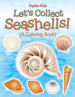 Collectionnons les coquillages ! (Un livre à colorier) - Let's Collect Seashells! (A Coloring Book)