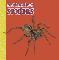 Les araignées en un clin d'œil - Fast Facts About Spiders