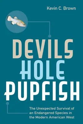 L'orphie du trou du diable : La survie inattendue d'une espèce menacée dans l'Ouest américain moderne - Devils Hole Pupfish: The Unexpected Survival of an Endangered Species in the Modern American West