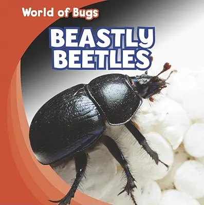 Les coléoptères bestiaux - Beastly Beetles