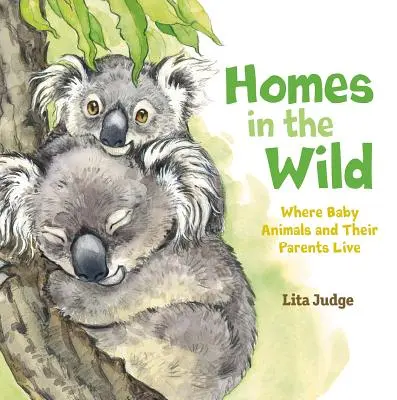 Les maisons dans la nature : où vivent les bébés animaux et leurs parents - Homes in the Wild: Where Baby Animals and Their Parents Live