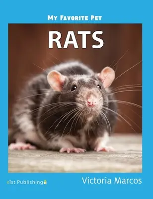 Mon animal préféré : Les rats - My Favorite Pet: Rats