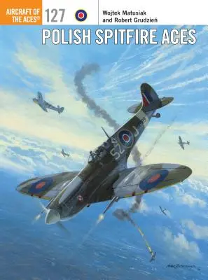 As polonais du Spitfire - Polish Spitfire Aces