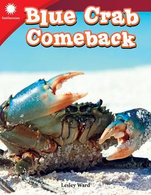 Le retour du crabe bleu - Blue Crab Comeback