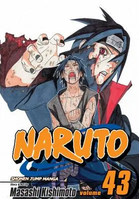 Naruto, Tome 43, 43 - Naruto, Vol. 43, 43