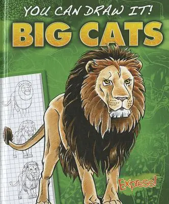 Gros chats - Big Cats