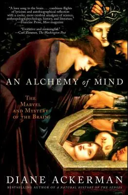 L'alchimie de l'esprit : Les merveilles et les mystères du cerveau - An Alchemy of Mind: The Marvel and Mystery of the Brain