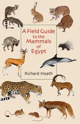 Guide de terrain pour les mammifères d'Egypte - A Field Guide to the Mammals of Egypt