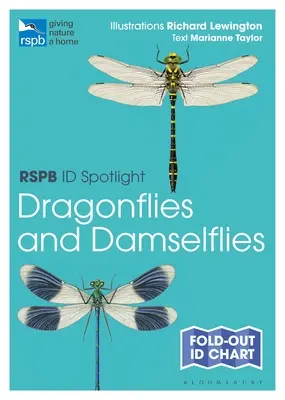 Rspb Id Spotlight - Libellules et demoiselles - Rspb Id Spotlight - Dragonflies and Damselflies