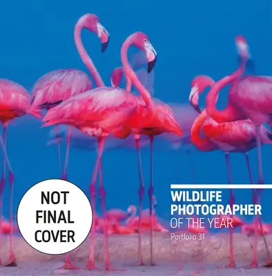 Photographe de l'année pour la faune et la flore : Portfolio 31, 31 - Wildlife Photographer of the Year: Portfolio 31, 31