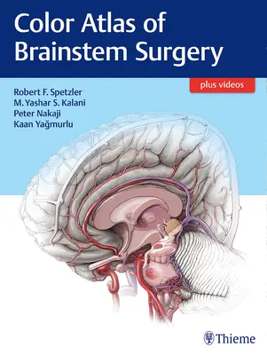 Atlas en couleur de la chirurgie du tronc cérébral - Color Atlas of Brainstem Surgery