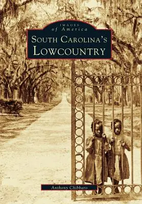Les basses terres de Caroline du Sud - South Carolina's Lowcountry