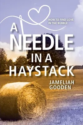 Une aiguille dans une botte de foin : Comment trouver l'amour dans les décombres - A Needle in a Haystack: How to Find Love in the Rubble