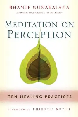 Méditation sur la perception : Dix pratiques de guérison pour cultiver la pleine conscience - Meditation on Perception: Ten Healing Practices to Cultivate Mindfulness