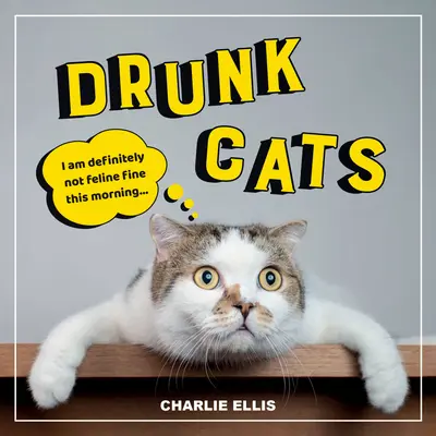 Chats ivres : Des photos hilarantes de chats ivres - Drunk Cats: Hilarious Snaps of Wasted Cats