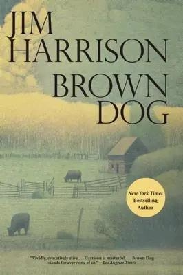 Chien brun - Brown Dog