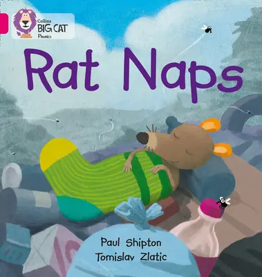 La sieste des rats - Rat Naps