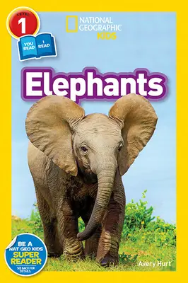 Éléphants - Elephants
