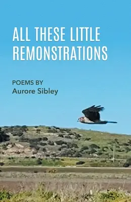 Toutes ces petites remontrances - All These Little Remonstrations