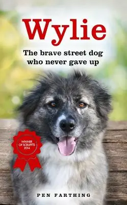 Wylie : Le brave chien de rue qui n'a jamais abandonné - Wylie: The Brave Street Dog Who Never Gave Up