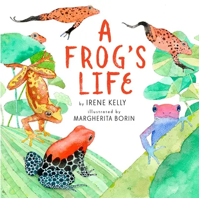 La vie d'une grenouille - A Frog's Life