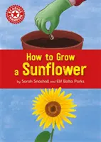 Champion de la lecture : Comment faire pousser un tournesol - Lecture indépendante de non-fiction Rouge 2 - Reading Champion: How to Grow a Sunflower - Independent Reading Non-fiction Red 2