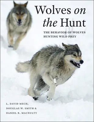 Les loups à la chasse : le comportement des loups chassant des proies sauvages - Wolves on the Hunt: The Behavior of Wolves Hunting Wild Prey