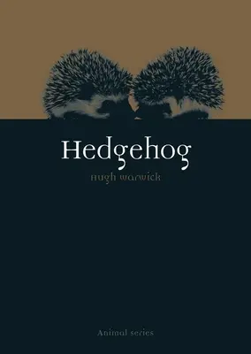 Hérisson - Hedgehog