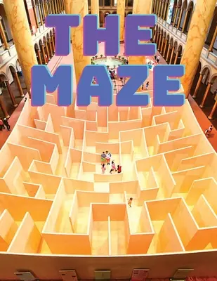 Livre de puzzles de labyrinthe - Maze Puzzles Book