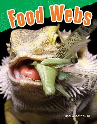 Toiles d'araignée - Food Webs