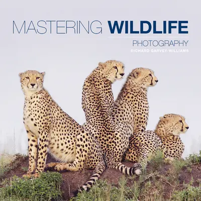 Maîtriser la photographie d'animaux sauvages - Mastering Wildlife Photography