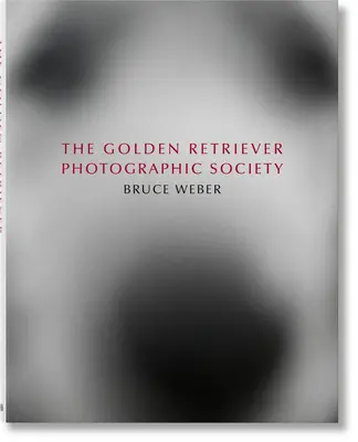Bruce Weber, la société photographique du Golden Retriever - Bruce Weber. the Golden Retriever Photographic Society