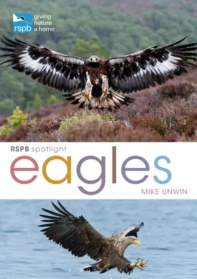 RSPB Spotlight : Aigles - RSPB Spotlight: Eagles