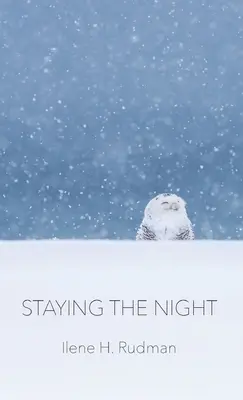 Rester la nuit - Staying The Night