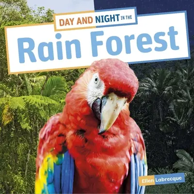 Jour et nuit dans la forêt tropicale - Day and Night in the Rain Forest