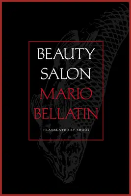 Salon de beauté - Beauty Salon