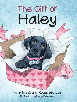 Le cadeau de Haley - The Gift of Haley